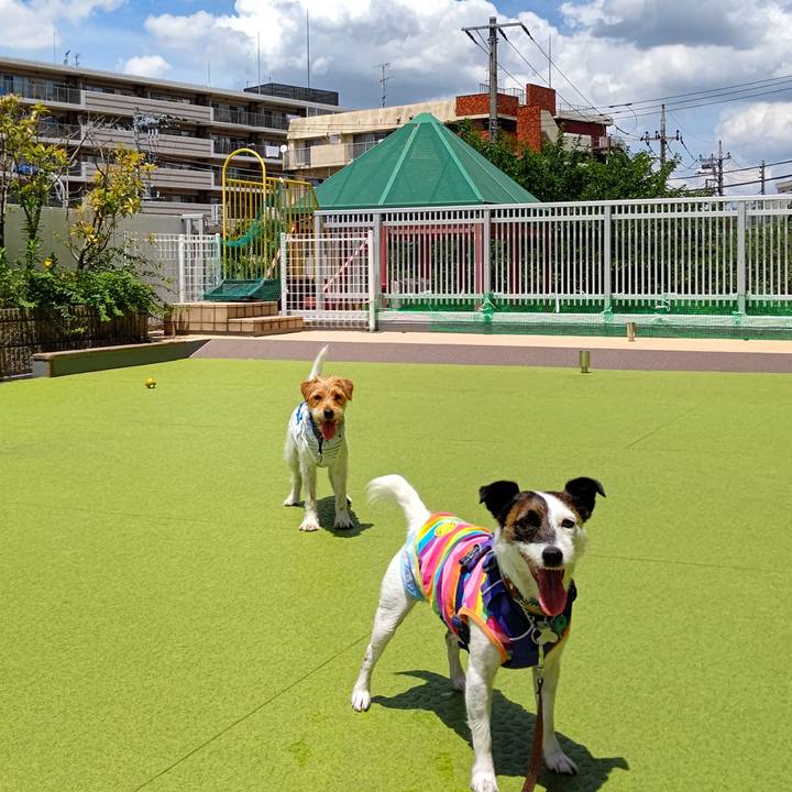 B2844347 31db 4ac5 85b3 105965c5eade 1626430108558