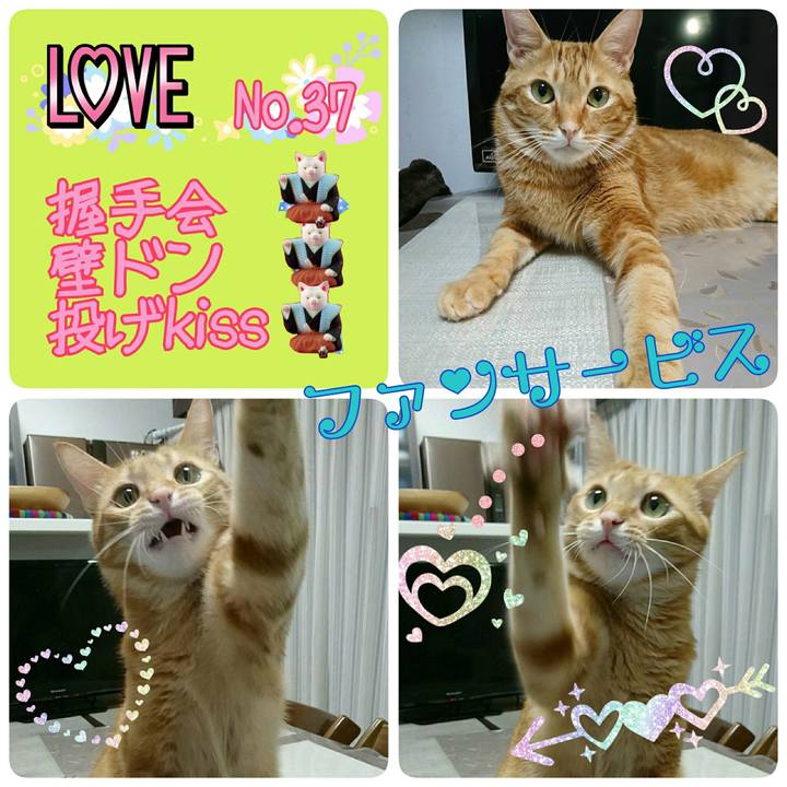 B2845e59 208e 4947 b4a1 53a42497341b 1569711763972