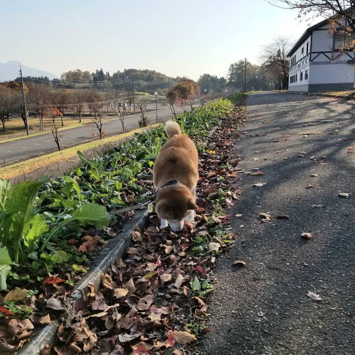 B28483d2 1c63 49b9 97b6 587935b204ff 1668145574775