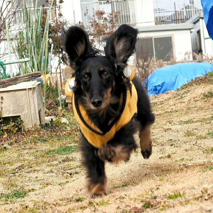 B28490ea 62f9 4115 8719 e79edd35aebe 1549588683666