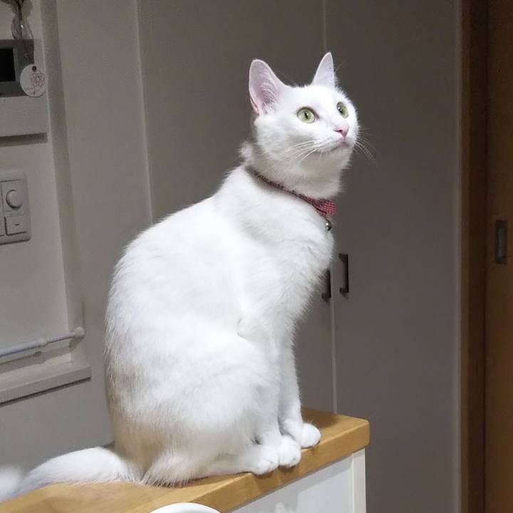 B2849862 7b5d 46c6 ba37 2013d52b30ec 1659998993103