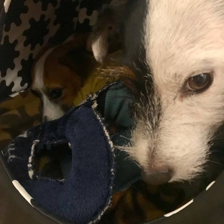 B284b690 7370 4c94 bd83 d885f5b8e810 1541773117331