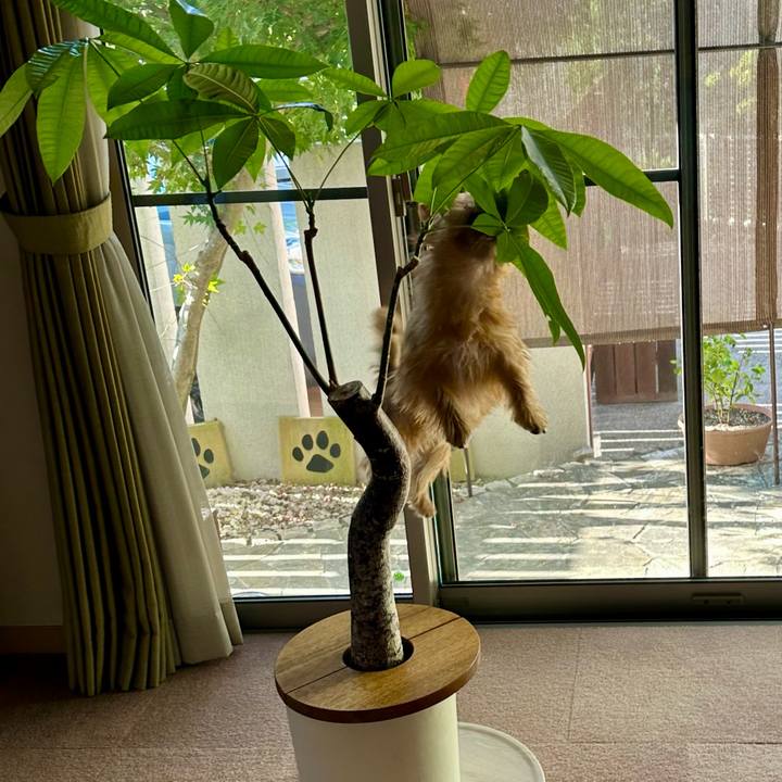 B284eeed 9750 48f1 9fcd f99e704f6863 1726058258120