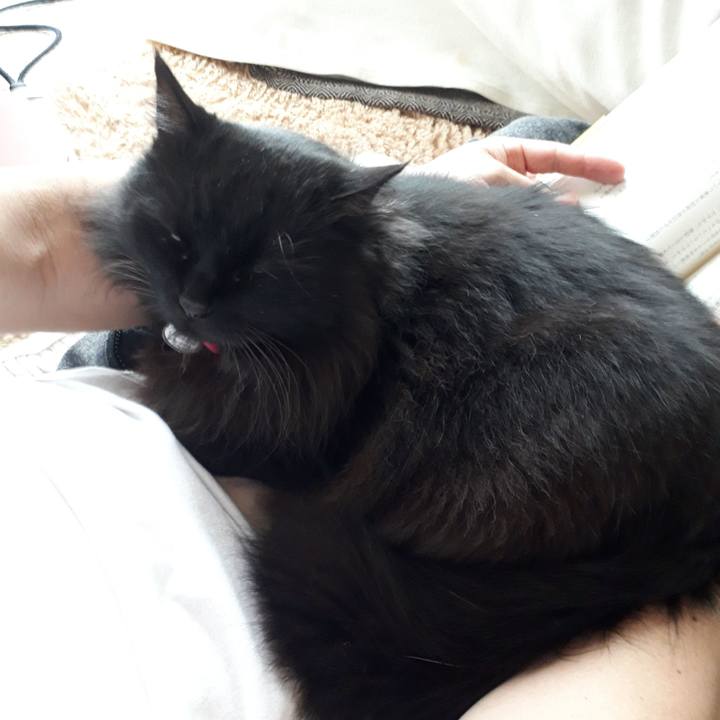 B284f068 aae2 4df9 be80 147c659282d2 1523669452860