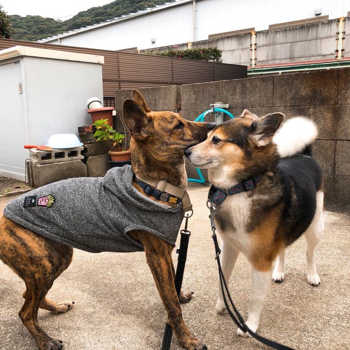 B284f62d 5bde 46a4 9d8f 4dfbfe02d79d 1581755948137