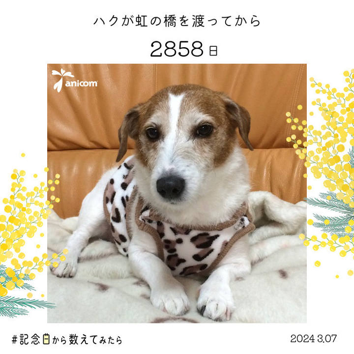 B2854432 5877 4839 b5f9 8d0fe271277a 1740636224926