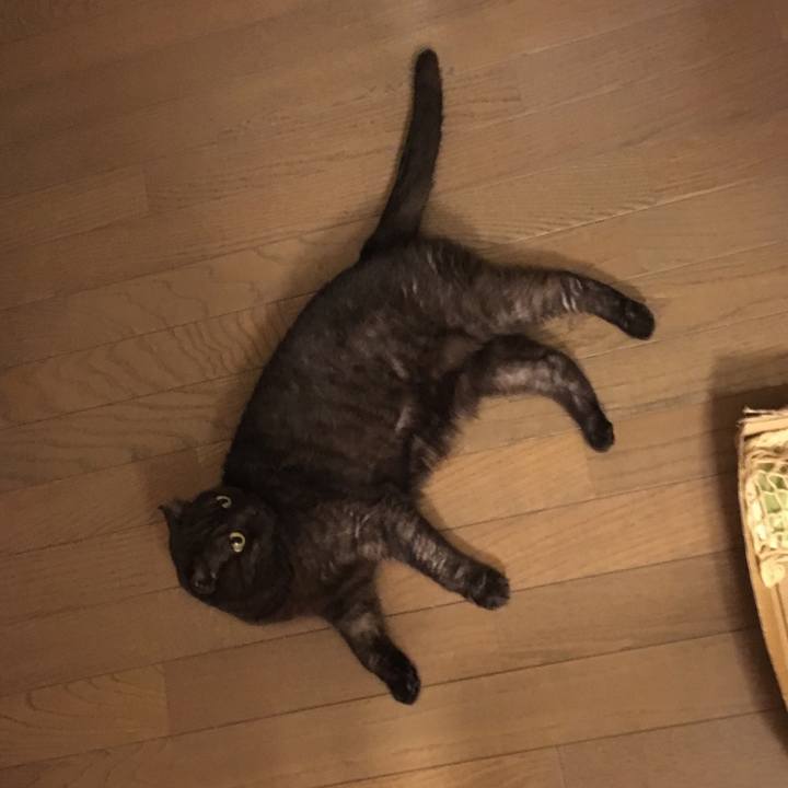 B28551b1 15ef 4e3a 935c 77b5a4e6b096 1530505864150