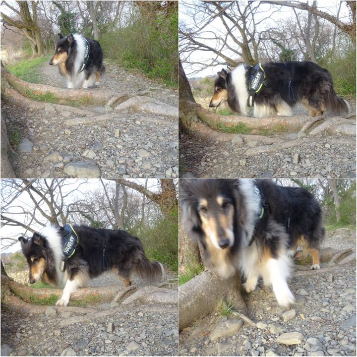 B2859738 6232 4b0e 8111 740764462c88 1616159720799