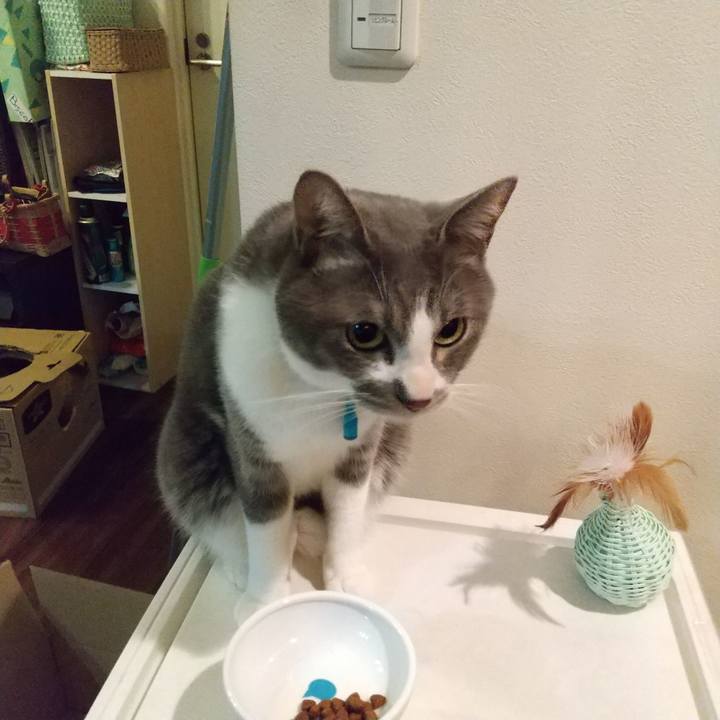 B285b75d 676c 42f2 8067 67914fe11bc1 1640948001218