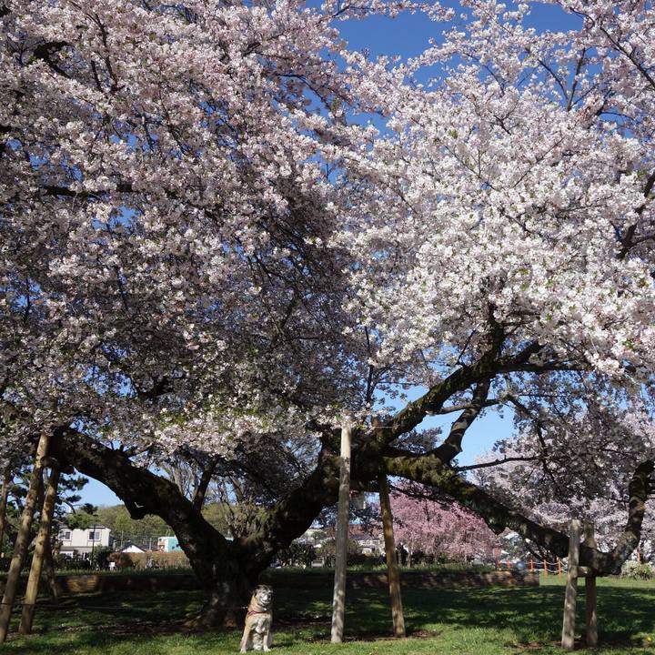 B285d28f 2f9d 4014 b14e f97c8ee23724 1554771594806