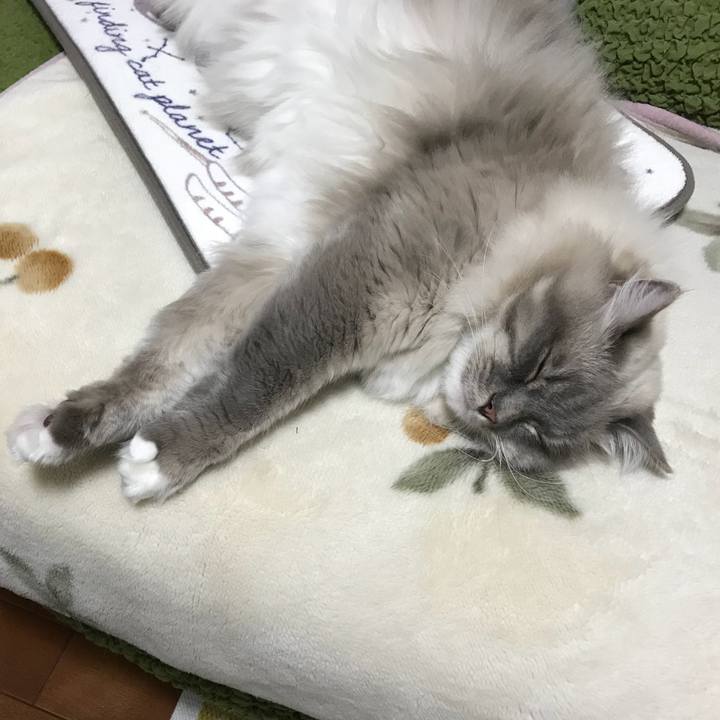 B2860131 861f 4156 8124 b39d7f1df4a9 1513082885852