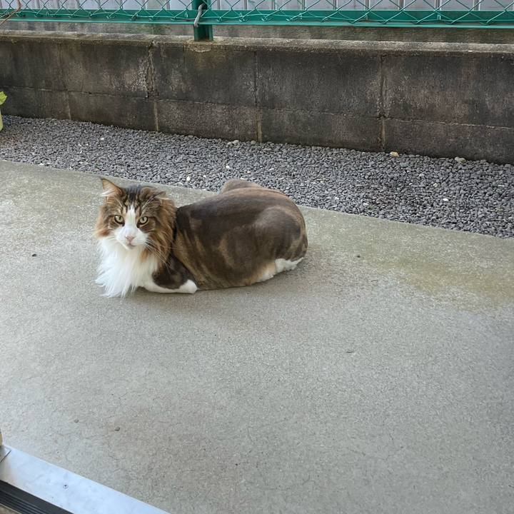 B2860852 fd6a 495b 9273 4699eb1183d5 1752007788321