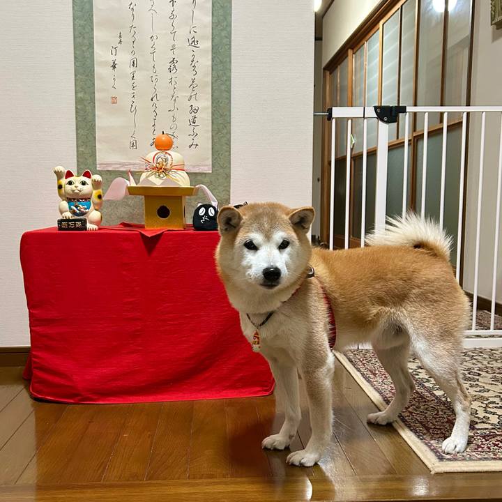 B28610d4 772e 442e b6a9 ff203570d9cd 1735729877308