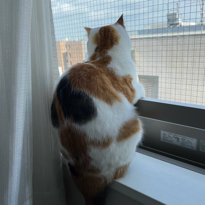 B2863e6f 329f 40ba b098 53f206eef4d3 1624161978934