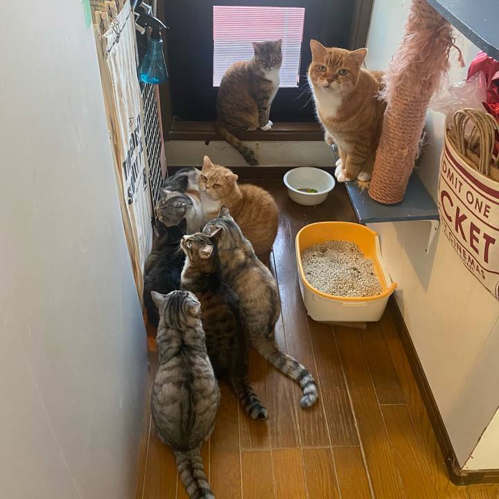 B28658ca 525e 446f 823c 07174a9a8fae 1644370628629