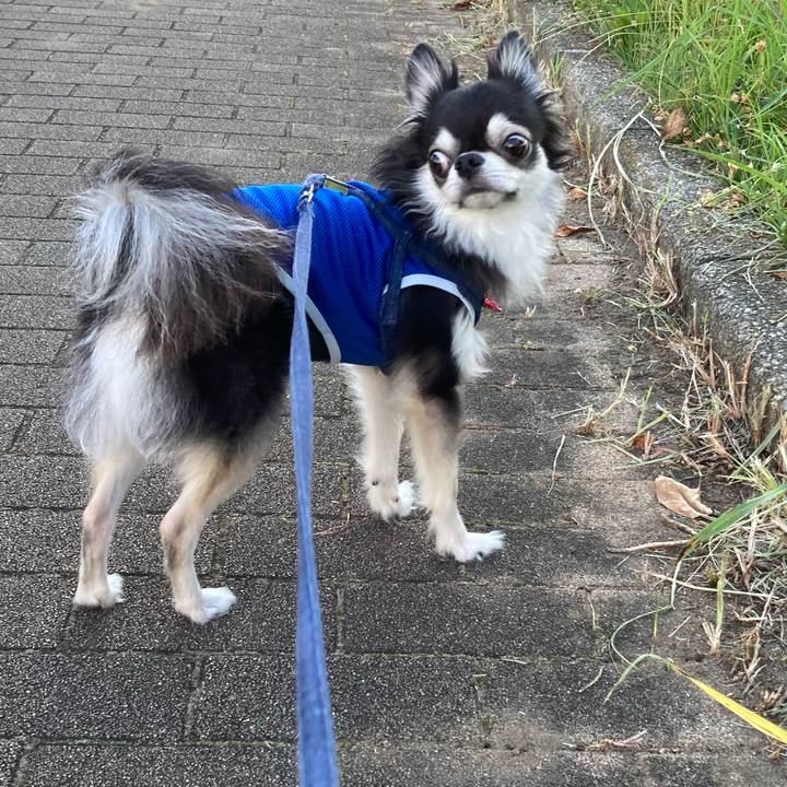 B2866f8b 68ce 4719 a70c f90027a07646 1690123262316