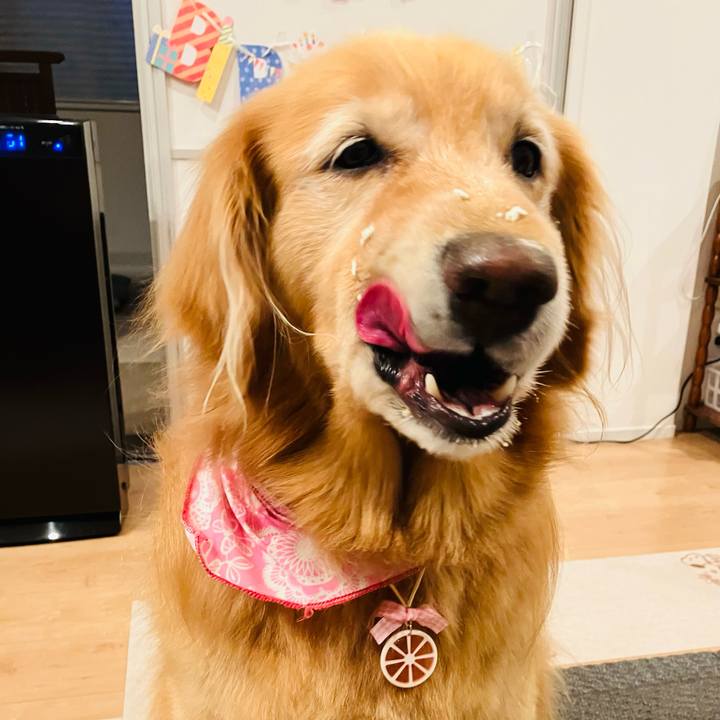 B2868ddf 0570 4fcb a24b 5308e184eaf8 1755399008535