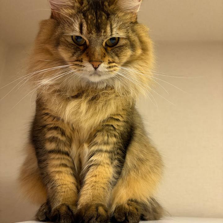 B2869e78 e01c 4ba8 b9b5 570b41d9c1f5 1764110589671