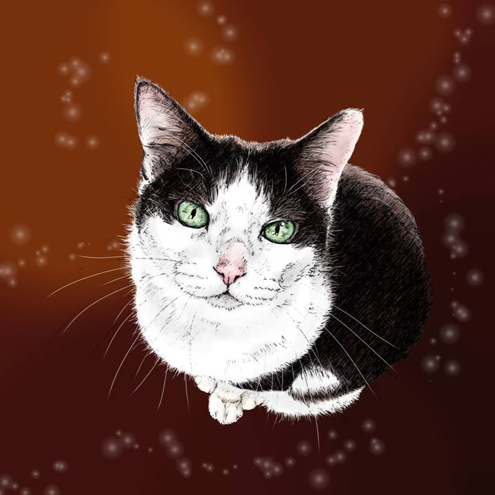 B286a7a4 4a8f 4271 b0db f4e4451865a9 1611843636179