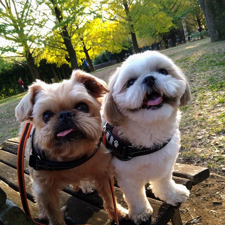 B286b7dd 90cd 4edd a430 b74052ac7bd0 1635901044384