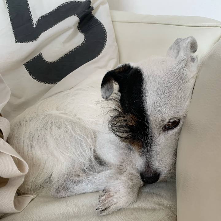 B286b980 6a8a 4c71 b5af 6cda0995ceb5 1655960468922