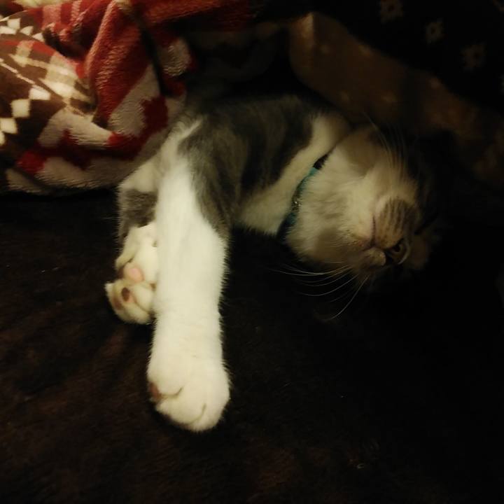 B286c1e6 c7f3 4953 8689 76f460f25056 1574439447593