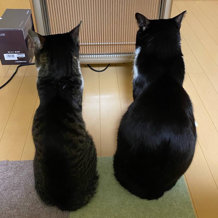 B286c323 4398 488d a827 dc543aeca843 1671588806938