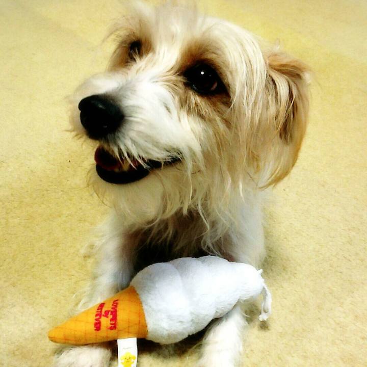 B286c505 1339 47f7 b7ce 63088130fcb3 1519915405901