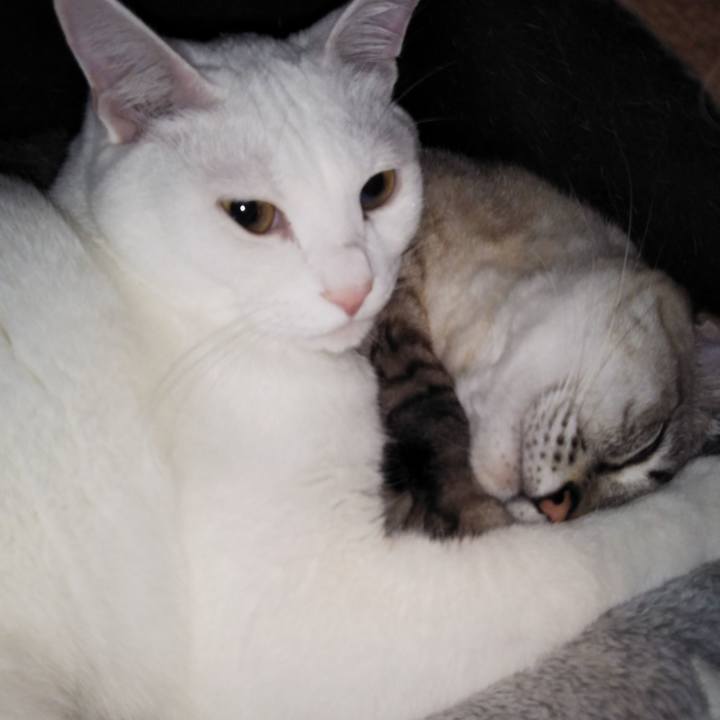 B286cdad 3d04 4e24 9ab4 5ab243cabc39 1545997086968