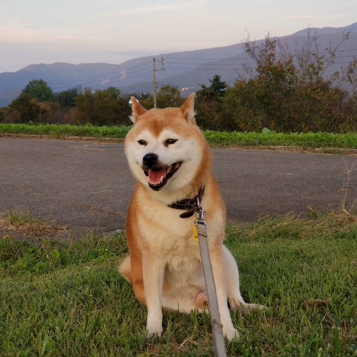 B286deea dfb4 479a a429 a805e1f562cf 1633421194397