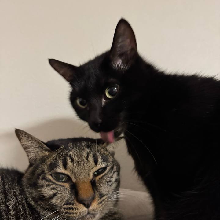 B286ed8a 8cfa 4d45 805b af283babac86 1734093596212