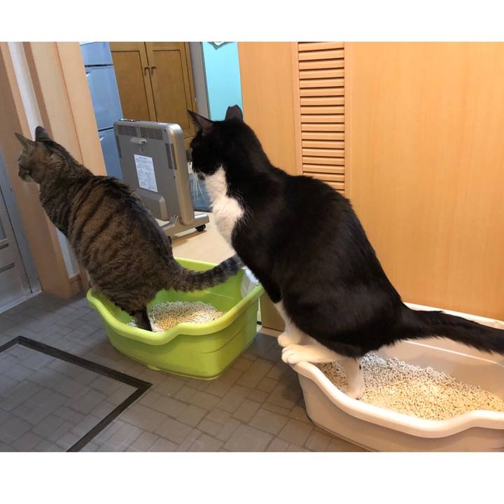 B286f334 ab41 4823 b689 1819d75a8d95 1641550660026