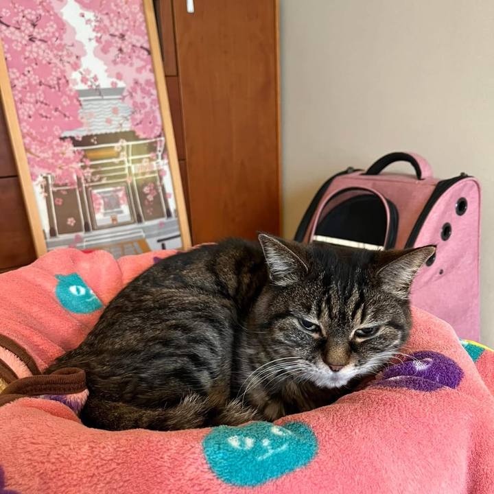 B286f554 8d34 4041 b0c1 8e1e92818c25 1774345299198