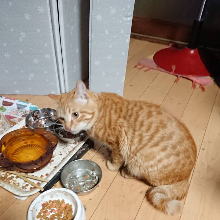 B28728fe 6c0e 41d9 b882 39c393403d0f 1648244268936