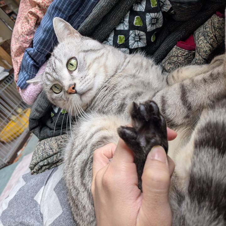 B28729c8 3d1f 475f 8fc4 dbc829348b4f 1769913524773