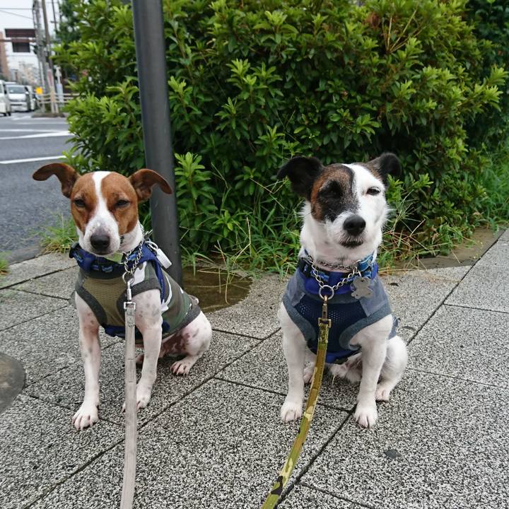 B2874d26 d2c8 4617 97ac c0af1ec3592f 1566942645100