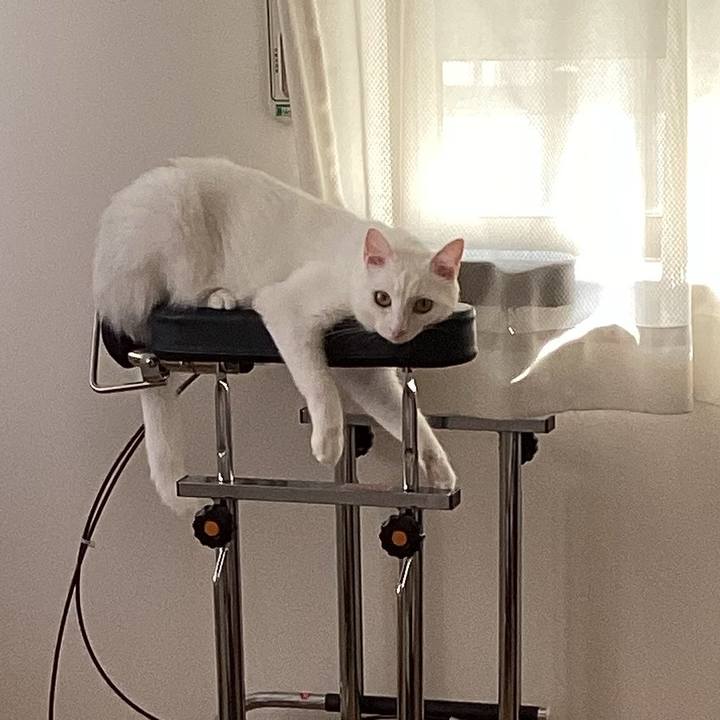 B287a2b6 0ca5 43ca b46a 2ac6ec02d4f0 1656486053579