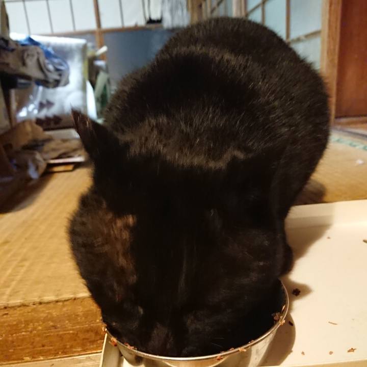 B287b2ad 1392 4d88 a390 e64f09a79574 1615466173103