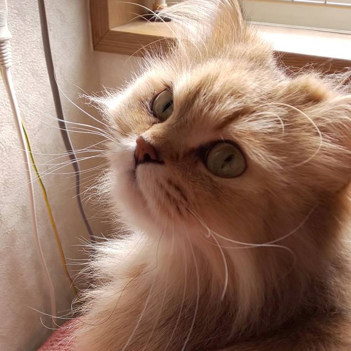 B2881fb5 d2cd 47f1 8f4f ee9319990ddb 1620176562713