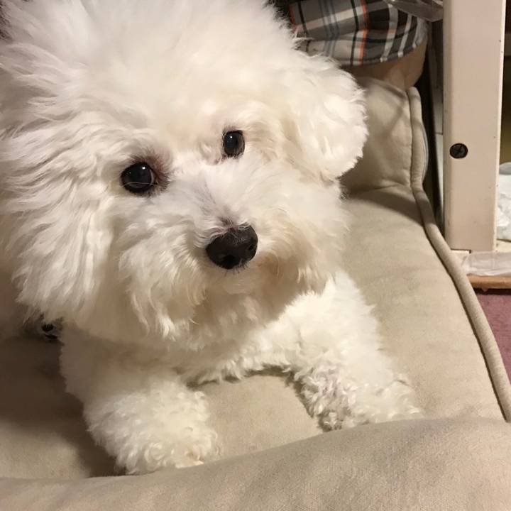 B288407e 99e1 4229 ad4d 832fddf25a19 1532684513754