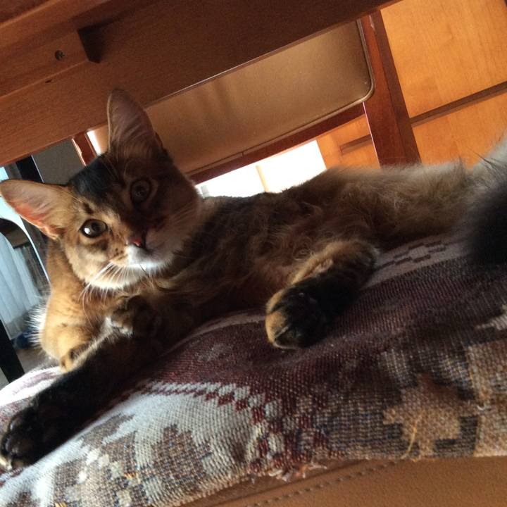 B2884c38 ec9c 4dab 97f7 14fe413240ec 1564985478070