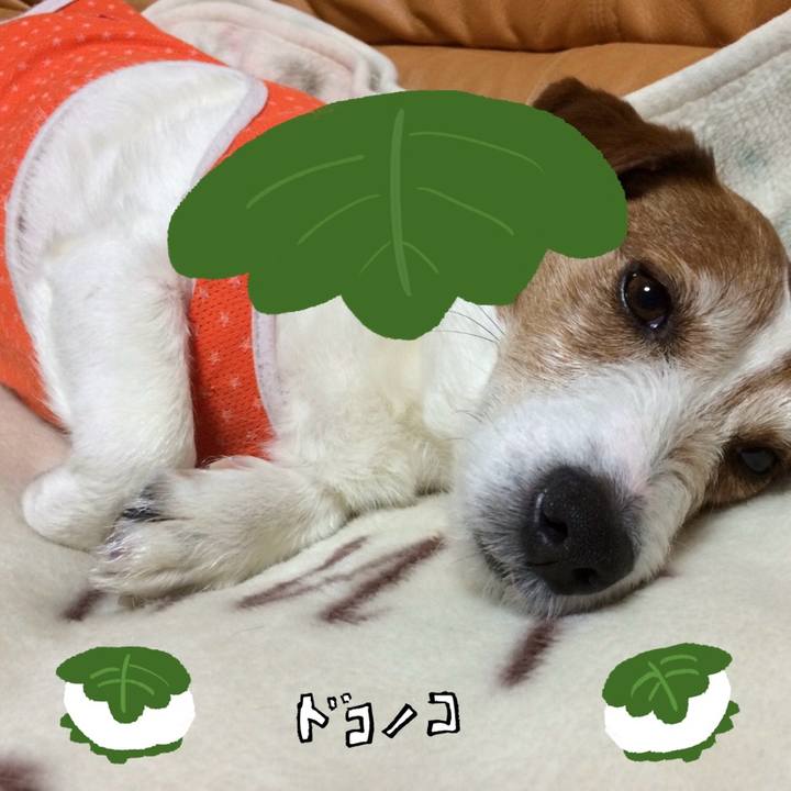 B2886dab 726a 4428 9db6 674d3c613d8e 1749100888284