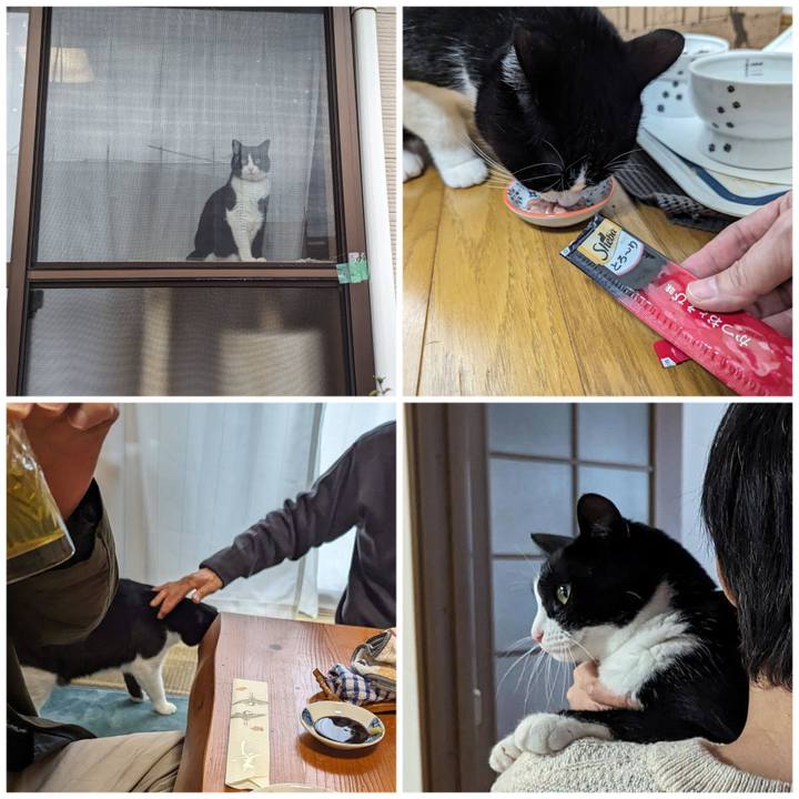 B288d7dc 7635 44bf 88dd e1fa3e614c18 1704167481114