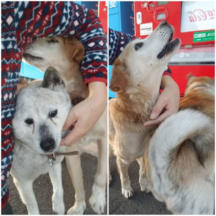 B28914cb 6941 4299 b722 de34f346719c 1751844333113