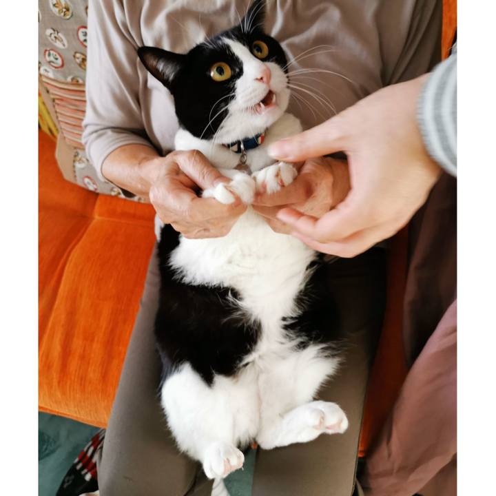 B289343e 2016 40fb ac55 c842355a3706 1635137190386