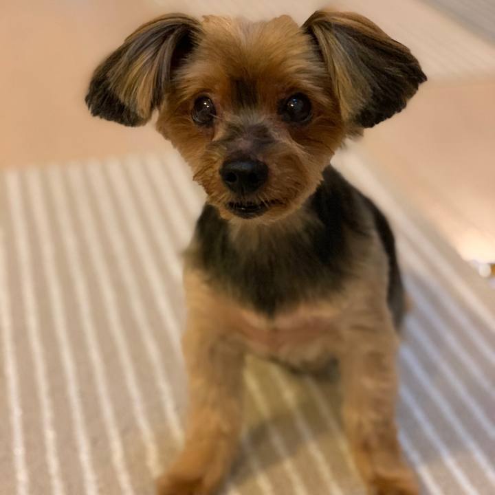 B2894885 1775 4c82 904e 2f99c57e67be 1625821658672