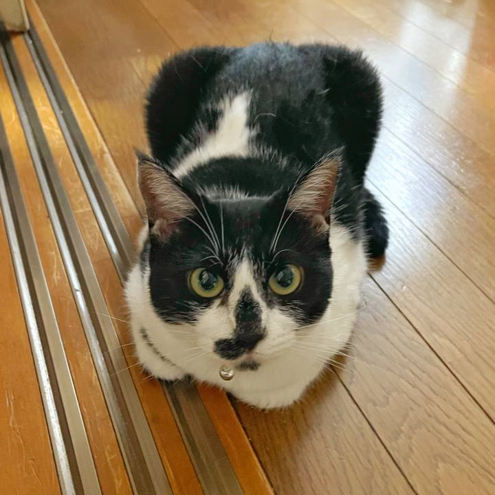 B2894981 823d 4f45 a8ce 25d17c7b8576 1755039503854