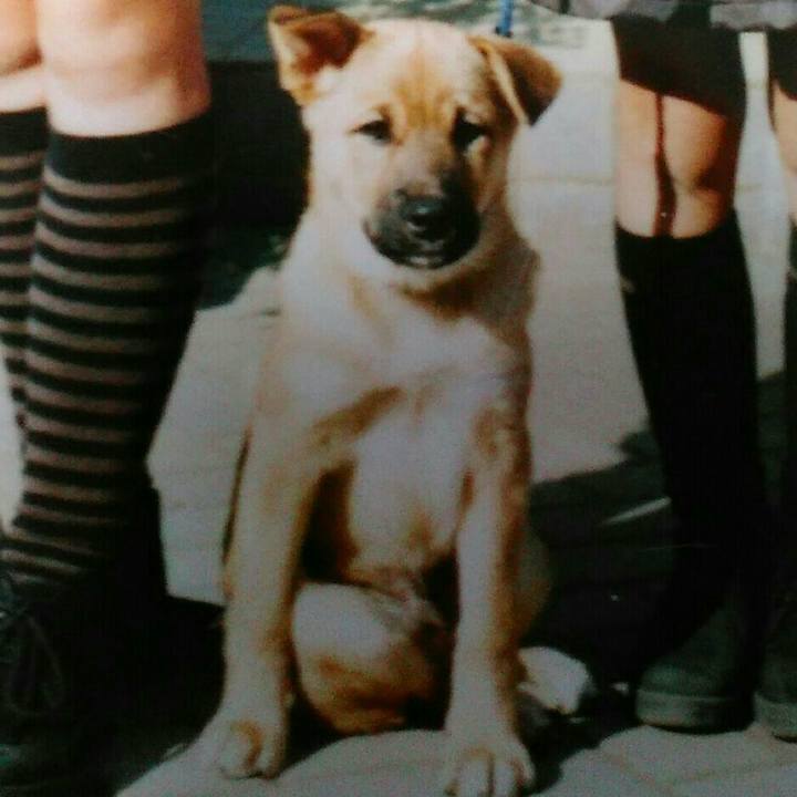 B28968aa 2cf6 4c42 a6ec abc275d2fe61 1543677215699