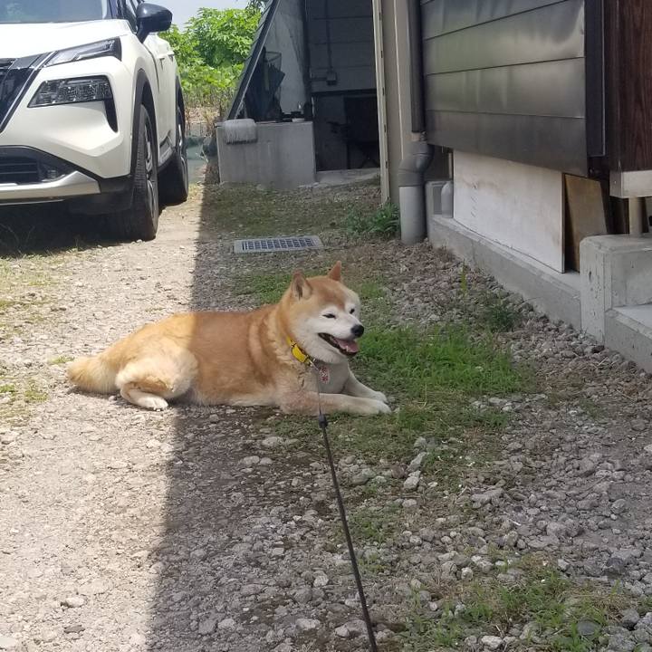 B2898555 0b71 4c0b a26b a411a741cc95 1687744715028