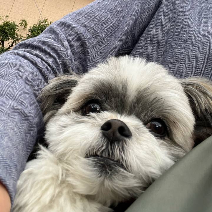 B289df4a 7d7b 4389 a1d9 4018c038cb7b 1648641402081